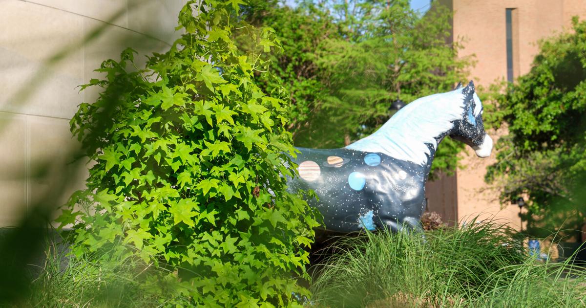 As Artemis II returns from the moon, UTA’s moon tree grows outside the Planetarium | Campus