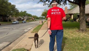 Dog Walker Watch program promotes safety and community engagement | North Texas