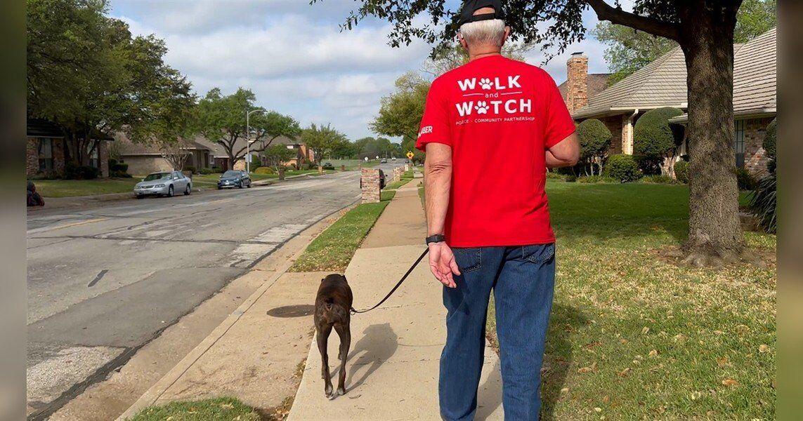 Dog Walker Watch program promotes safety and community engagement | North Texas