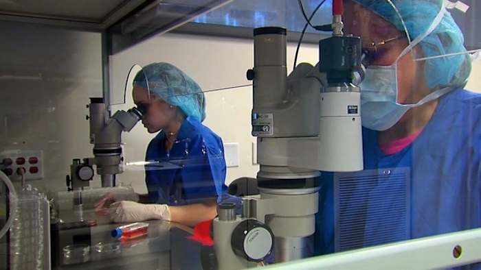 Houston woman freezes her eggs, uncovers surprise fertility coverage at work