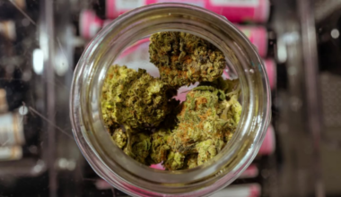 Texas cannabis businesses sue state to block smokeable hemp ban