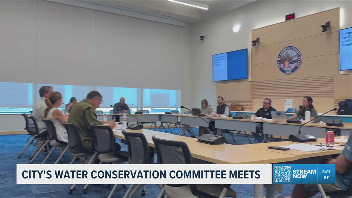 City's water conservation committee meets