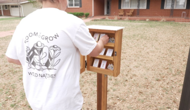 Lubbock seed library now open for residents, hoping to bring positive environmental change
