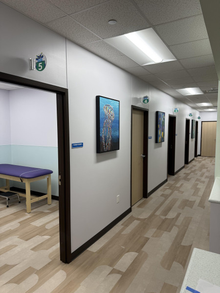 Plano Multispecialty Clinic Hallway