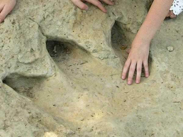 See the dinosaur tracks for yourself. | Photo courtesy of Texas Parks & Wildlife Department