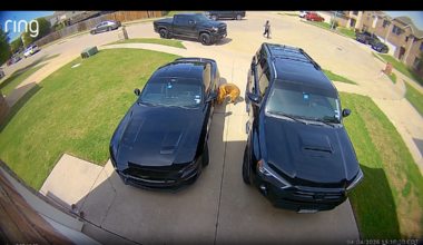 Fort Worth Star-Telegram