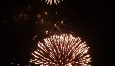Fireworks at night over a bay