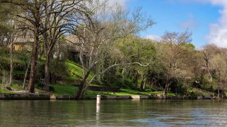 Large trees overhanging the water's edge at Lake Dunlap, Texas