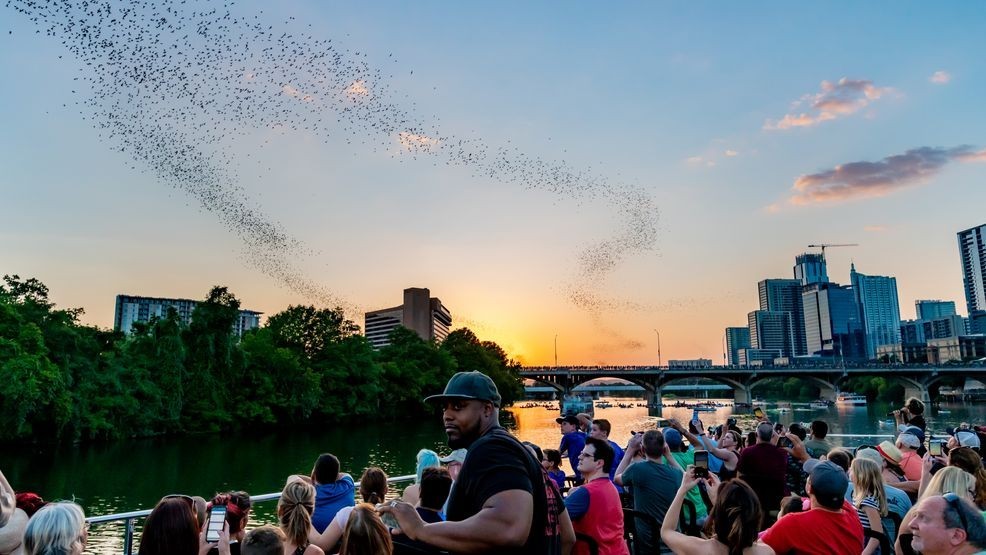 The famous colony of approximately 1.5 million Brazilian free-tailed bats  (Tadarida brasiliensis)  living in crevices beneath the Congress Avenue Bridge in Austin, Texas has attracted millions of visitors to enjoy its spectacular emergences over the past 35 years. Small signs simply warn not to handle the bats, and despite countless close encounters no one has ever been harmed. The bats attract millions of tourist dollars each summer and consume tons of crop and yard pests each night.Courtesy ©MerlinTuttle.org