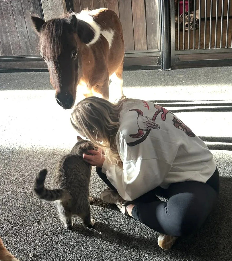 The family combined the two dwellings to form an impressive compound, which also includes "a metal warehouse, a shop with bathroom and living quarters, three RV hook-ups, open land suitable for a range of uses, and a designated 100 yard shooting range," according to the listing, which is held by Lee Trowbridge of Compass. <span class="image-credit">(brendanjmcloughlin/Instagram)</span>