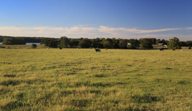 Rural land values climb, market steadies across Texas Rural land values in Texas reached a new high in 2025, even as sales activity showed signs of stabilizing after several slower years, according to a new report.