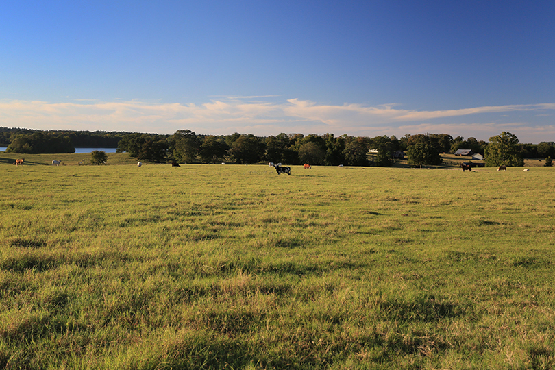 Rural land values climb, market steadies across Texas Rural land values in Texas reached a new high in 2025, even as sales activity showed signs of stabilizing after several slower years, according to a new report.