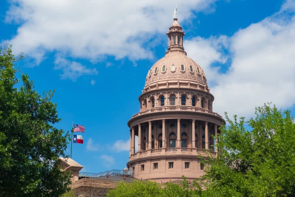 the top portion of the texas state capital with threes to the bottom right and two flags flying on the left side