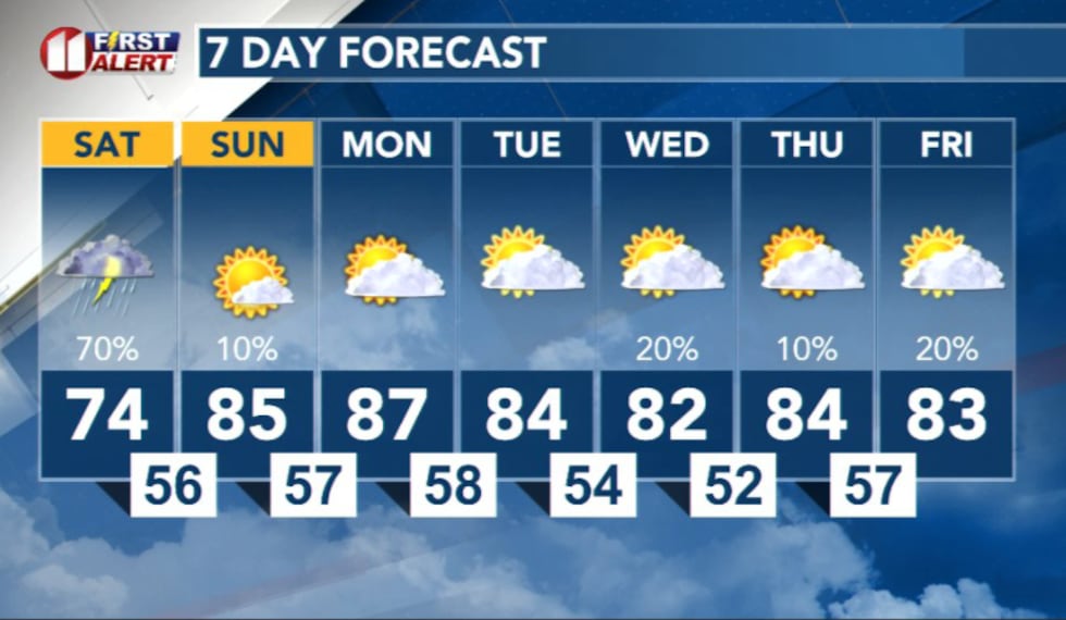 7 Day Forecast
