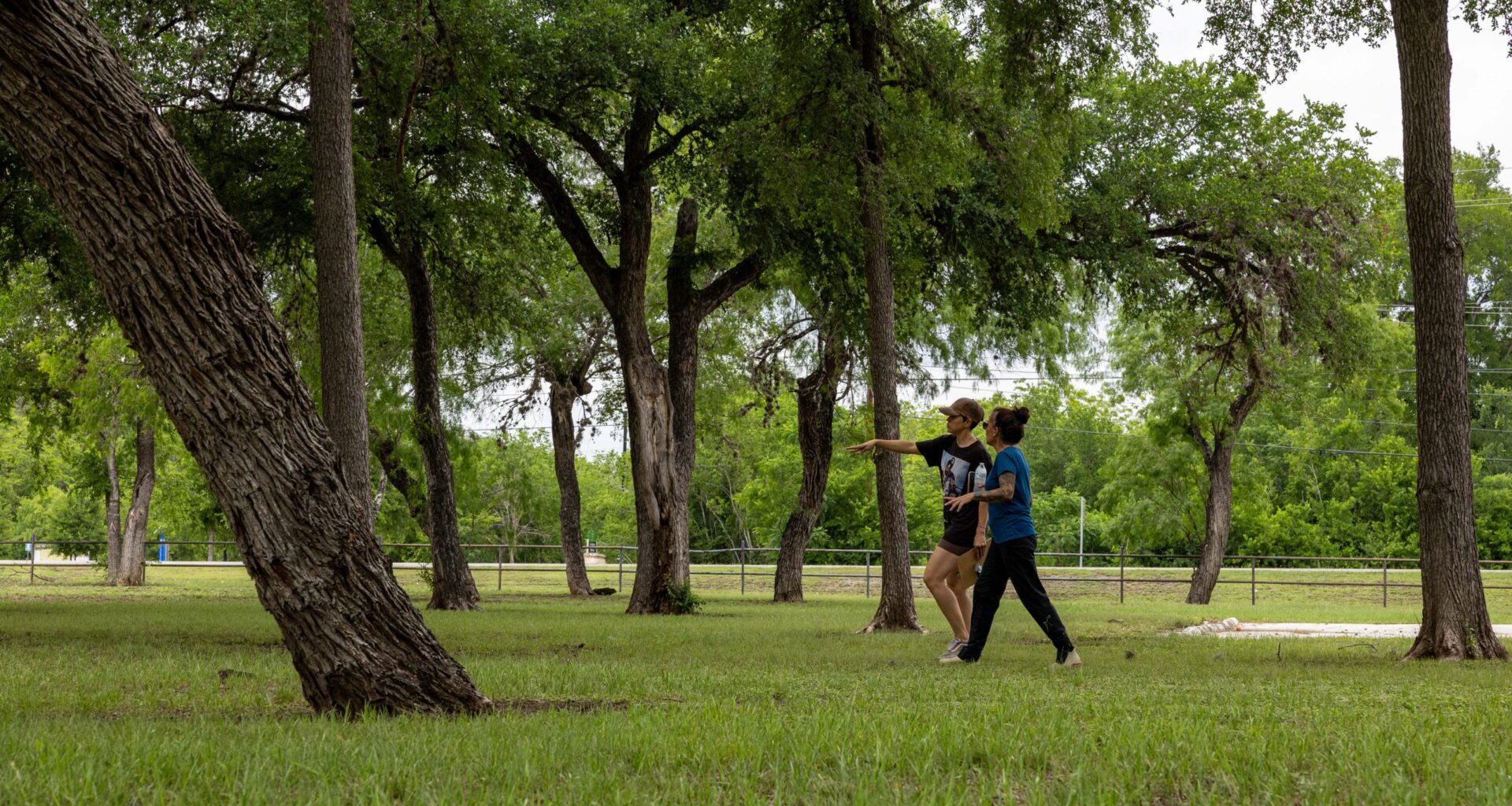 Arboretum San Antonio prepares to host its inaugural Fiesta event