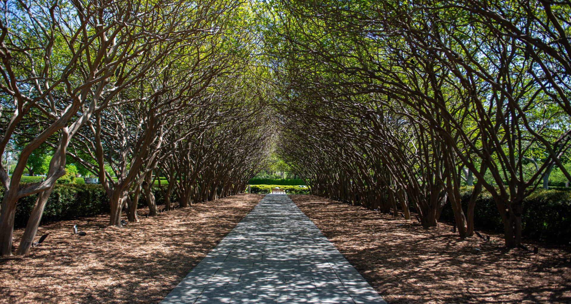 Giant bunnies, birds and butterflies coming to Dallas Arboretum this April