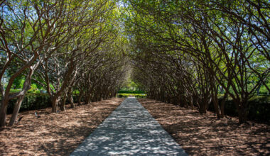 Giant bunnies, birds and butterflies coming to Dallas Arboretum this April