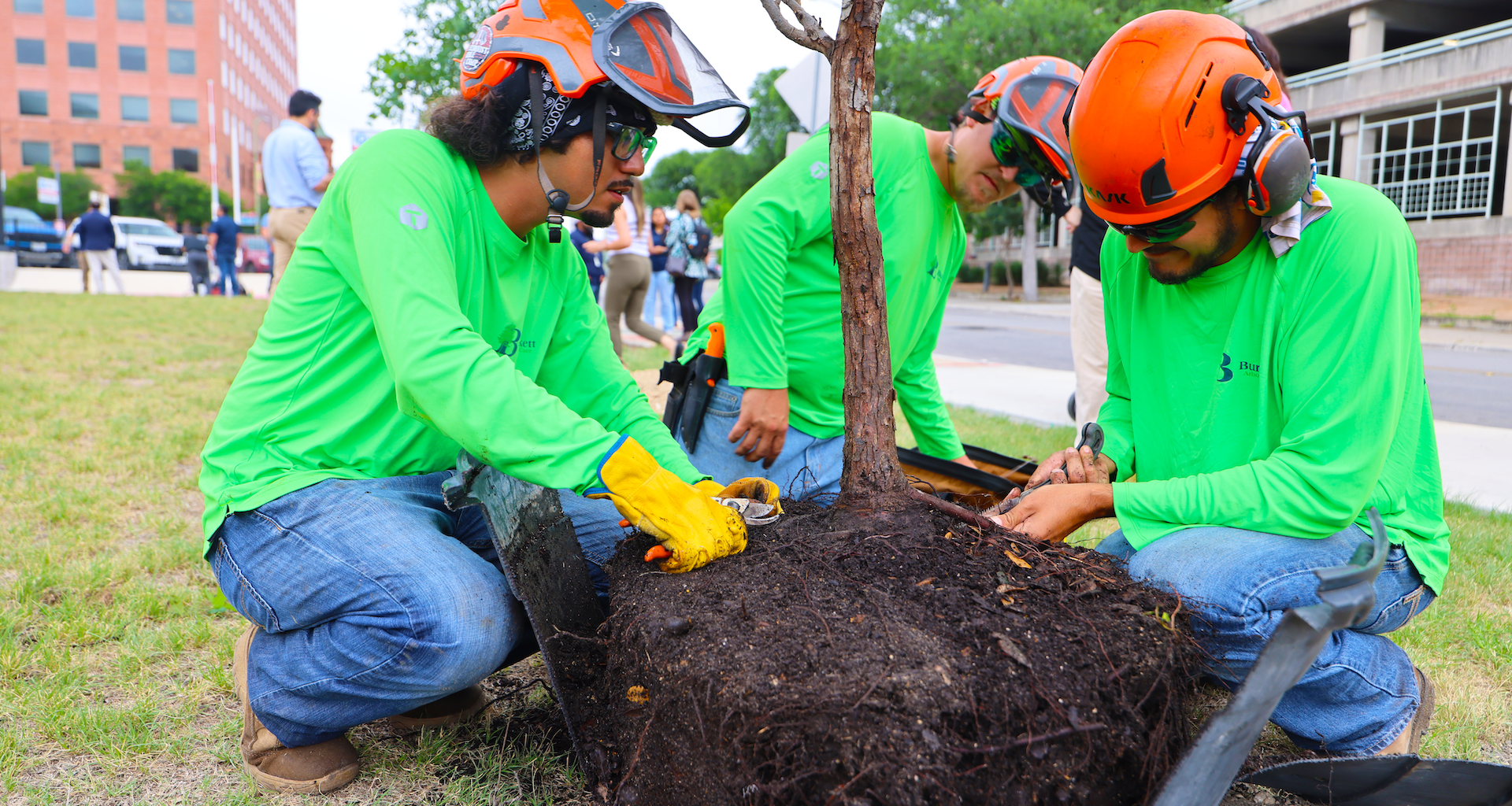 Centro San Antonio aims to plant 1,000 more trees downtown