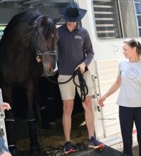US-Based Horses Arrive for World Cup Finals in Fort Worth for First Time