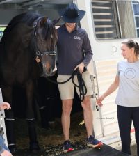US-Based Horses Arrive for World Cup Finals in Fort Worth for First Time