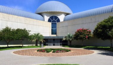 African American Museum, Dallas to reopen with new exhibitions – NBC 5 Dallas-Fort Worth