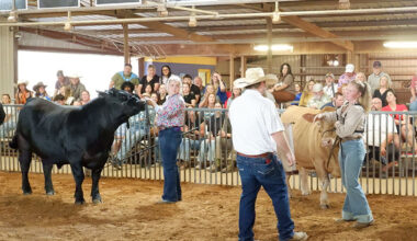 Students shine at 59th annual Wylie Show & Sale