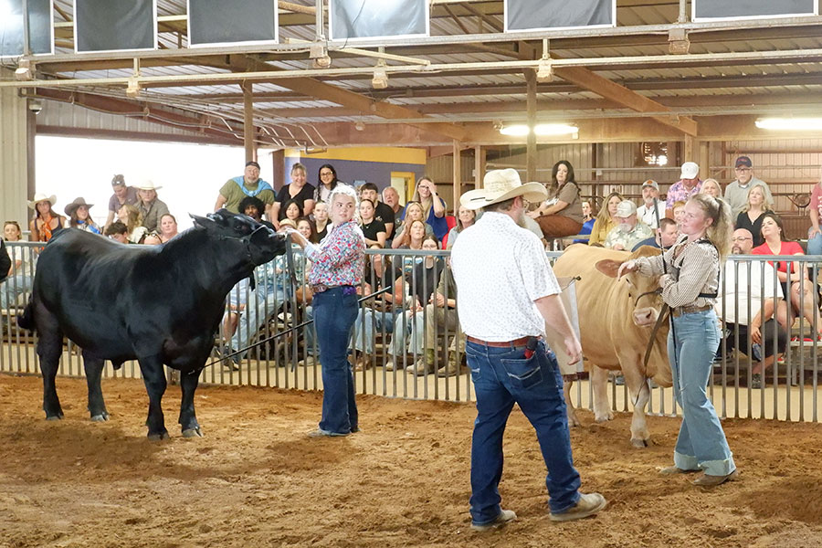 Students shine at 59th annual Wylie Show & Sale