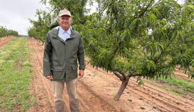Texas students learn about peaches through Farm From School Texas students learned about peaches virtually through Texas Farm Bureau’s Farm From School program.