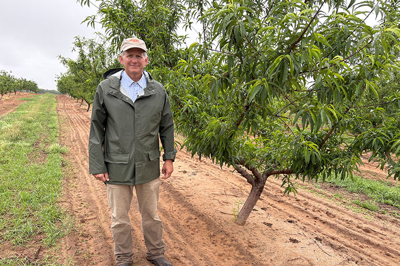 Texas students learn about peaches through Farm From School Texas students learned about peaches virtually through Texas Farm Bureau’s Farm From School program.