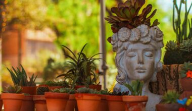 El Paso Artist and Farmers Market returns for 15th anniversary season – The Prospector