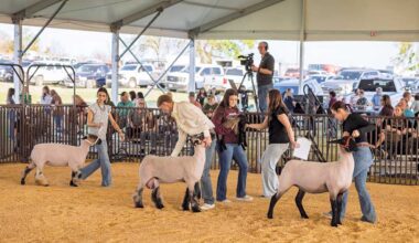 Local students excel at district ag shows