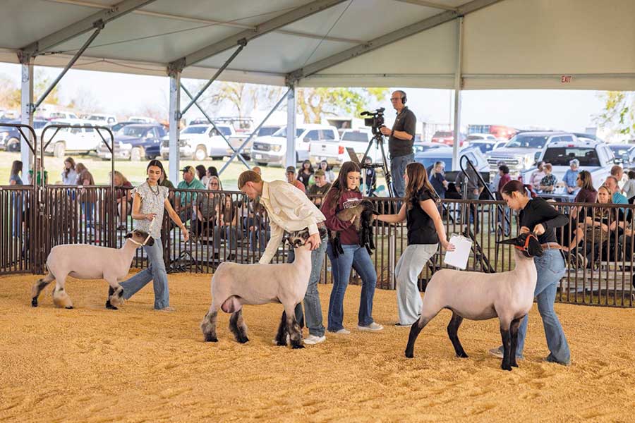 Local students excel at district ag shows