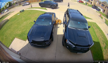 Ring video shows juvenile shooting dogs in north Fort Worth