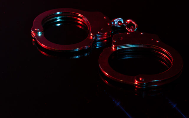 BCSO: Man arrested, accused of having child porn, bestiality on cell