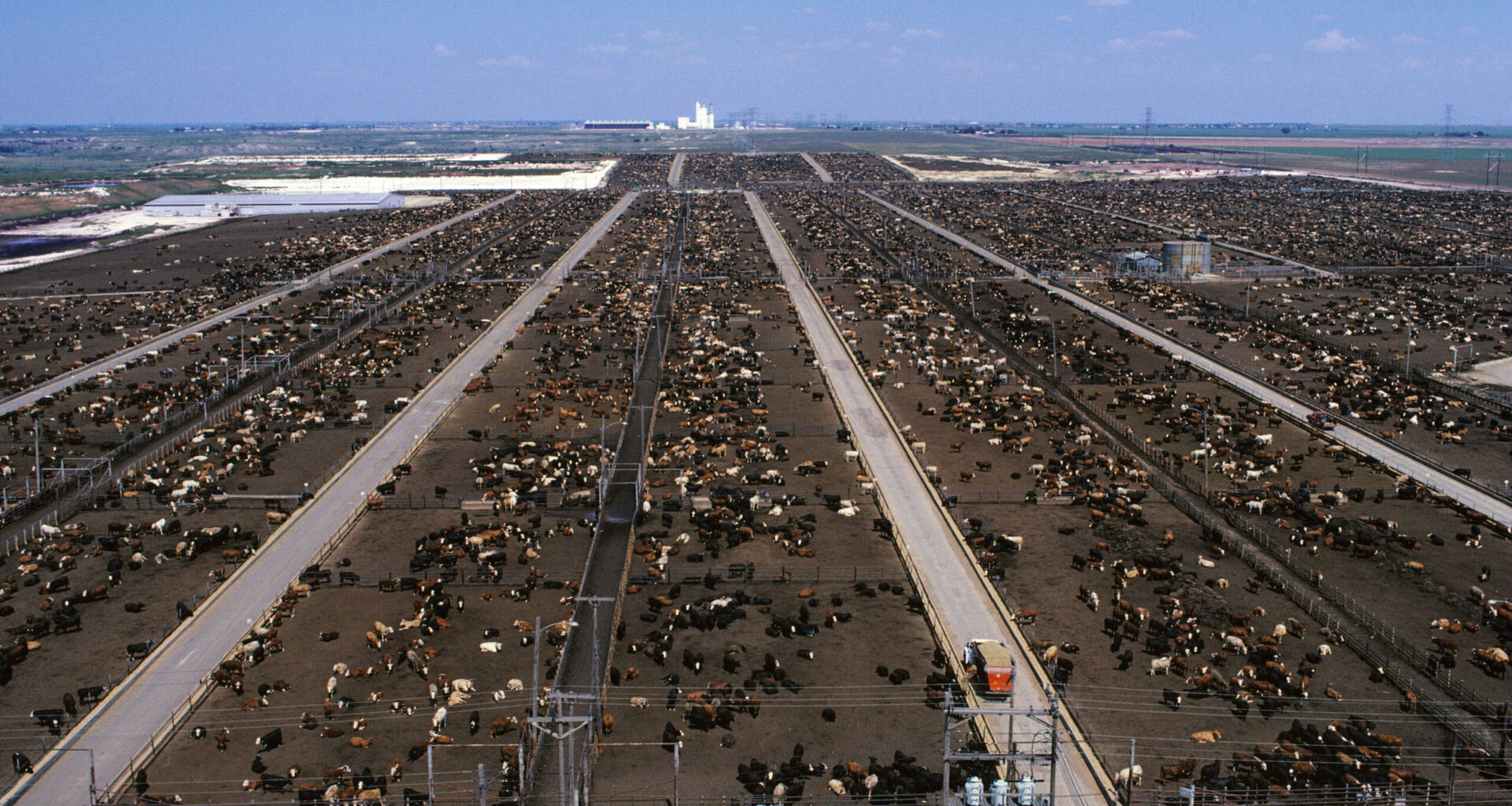 Communities Near Concentrated Animal Feeding Operations Have Higher Cancer Rates