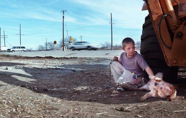 Dec. 29, 1999: Haslet resident Josh Peele, 8, pets his dog, Red near FM 156, Haslet's main street. Josh said many of his previous dogs were run over on the road and that he hopes Red, an unapologetic car-chaser, will not meet the same fate.