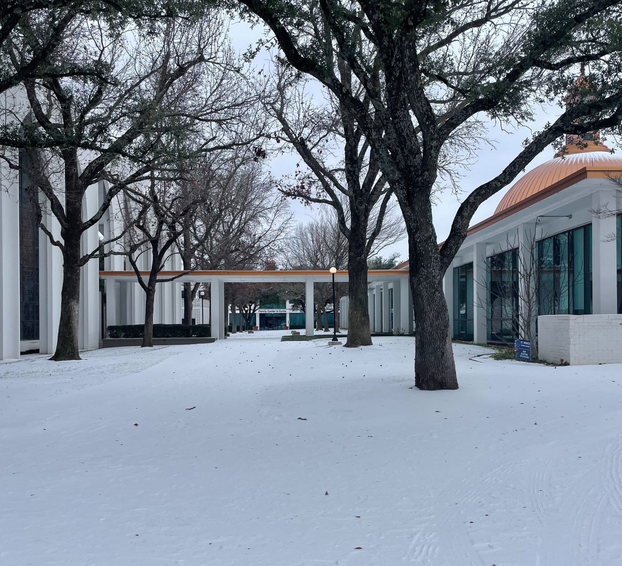 A snow-covered courtyard framed by bare oak trees, flanked by modern white buildings with copper-roofed domes on either side.