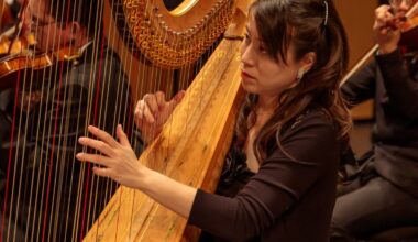 Harp soloist to perform with Dallas Chamber Symphony – NBC 5 Dallas-Fort Worth