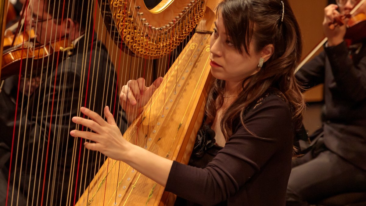 Harp soloist to perform with Dallas Chamber Symphony – NBC 5 Dallas-Fort Worth