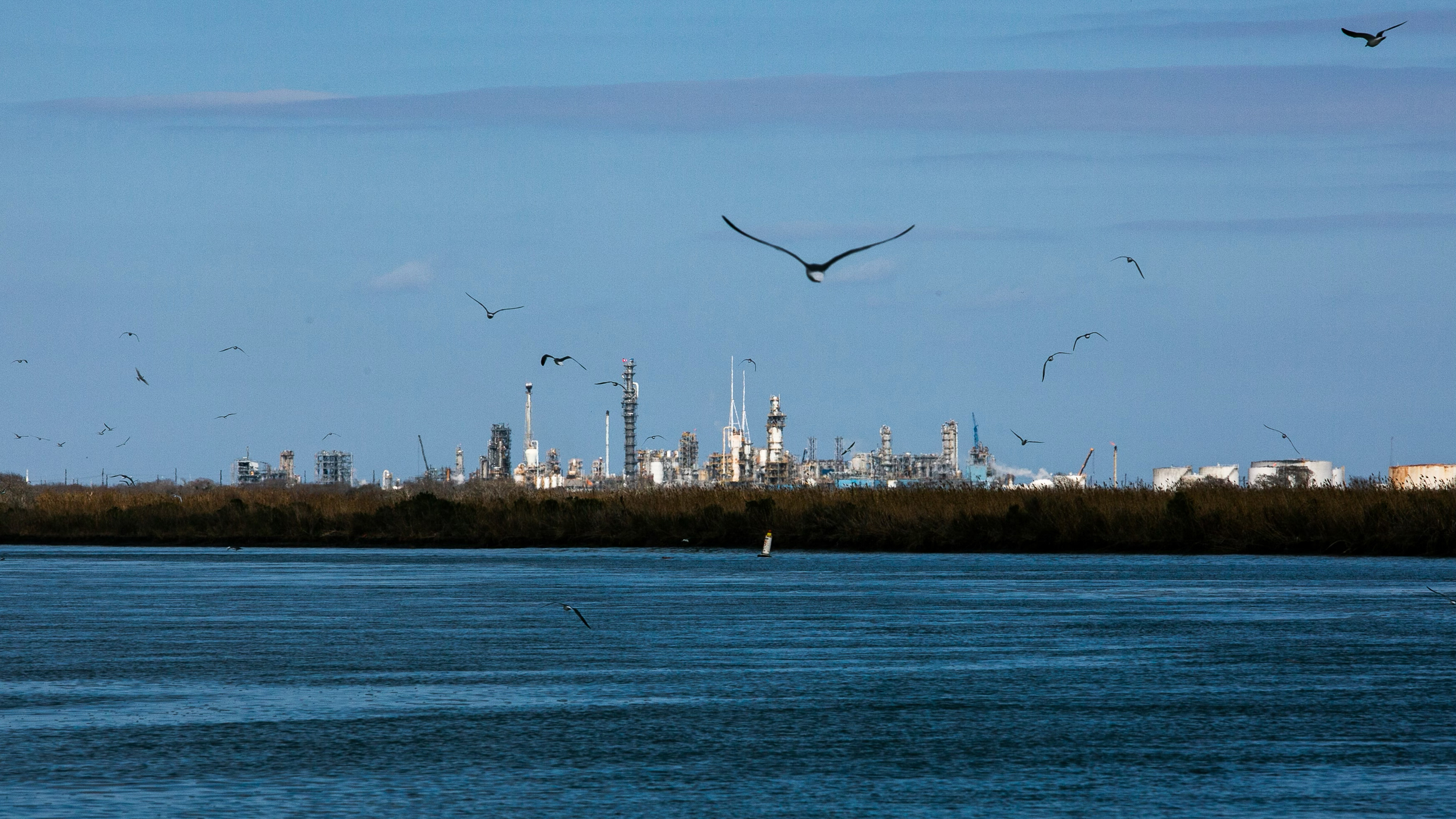 Dow’s 4,700-acre Seadrift Operations complex produces various plastics as well as chemicals for antifreeze, paints, detergents, shampoo and other beauty products on the Gulf Coast in Calhoun County.