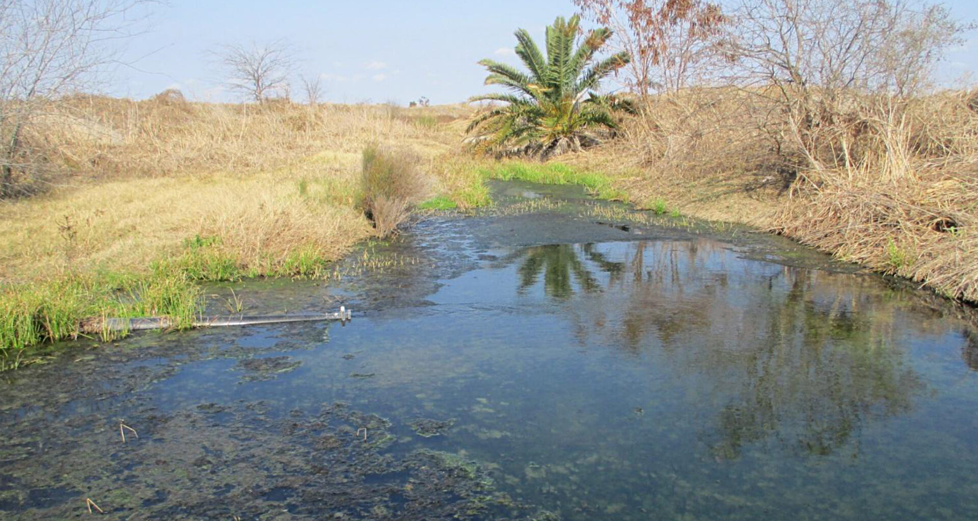 A Texas Commission on Environmental Quality investigator tested wastewater from Tesla’s Robstown lithium refinery on Feb. 12. Credit: Travis Prater/Texas Commission on Environmental Quality