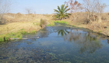 A Texas Commission on Environmental Quality investigator tested wastewater from Tesla’s Robstown lithium refinery on Feb. 12. Credit: Travis Prater/Texas Commission on Environmental Quality