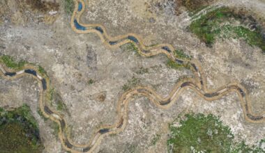 Dallas’ Conservation Equity Management Acquires Multi-State Mitigation Banking Portfolio » Dallas Innovates