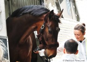 First 31 Dressage & Jumping Horses in Fort Worth for World Cup Finals