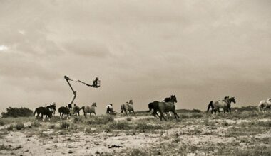 Texas, My Texas – Texas Monthly