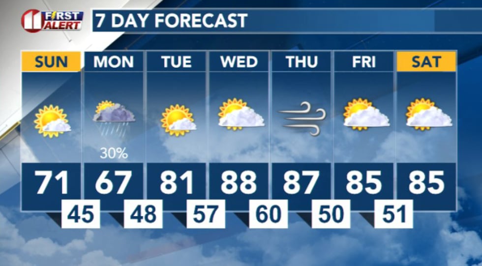 7 Day Forecast