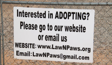 El Paso County asks Law N Paws to take in 30 dogs, offers to help relocate animals to new facility