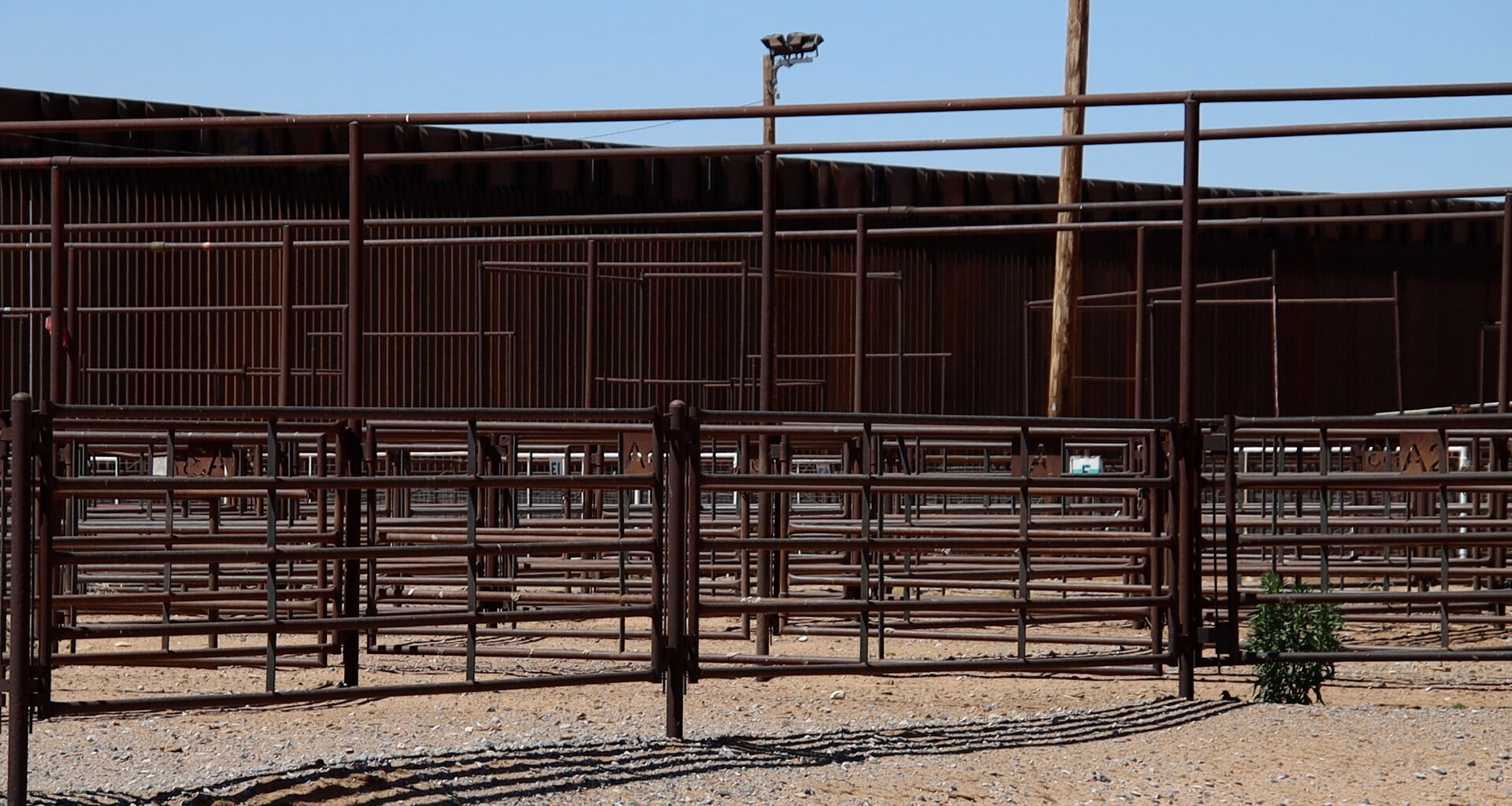 Border cattle crossing shutdown drags on more than a year, Santa Teresa economy and livestock industry struggling to stay afloat