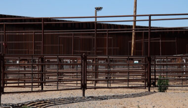 Border cattle crossing shutdown drags on more than a year, Santa Teresa economy and livestock industry struggling to stay afloat