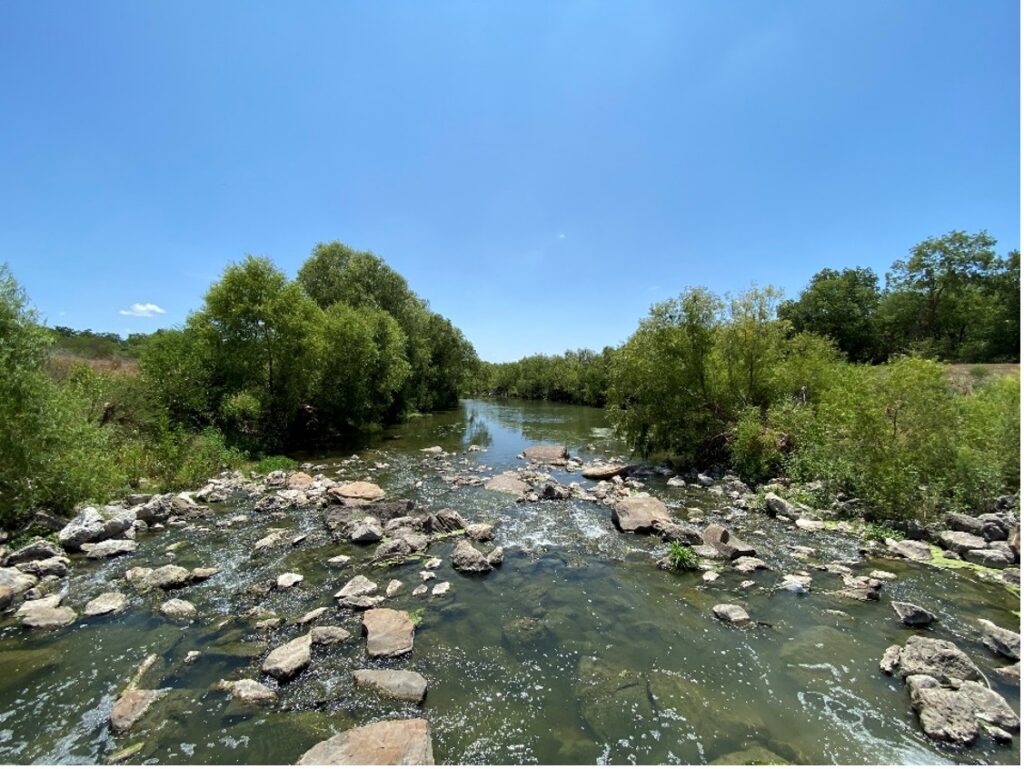 The Mission Reach Ecosystem Restoration Project helped to create healthy riparian buffers along the San Antonio River.  